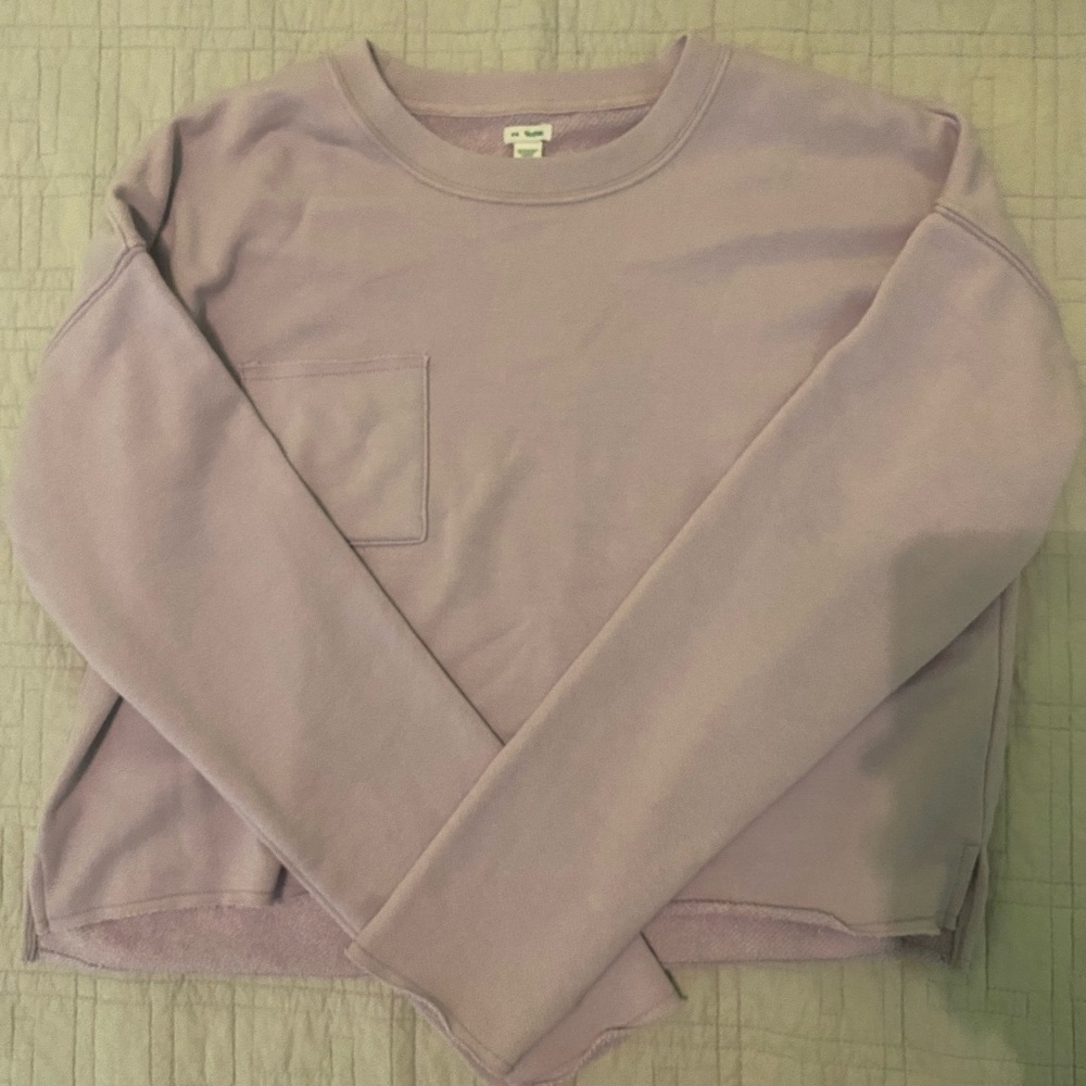 Purple Aerie Sweater